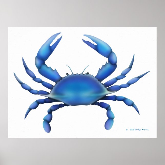 Blue Crab Print Poster (Vorne)