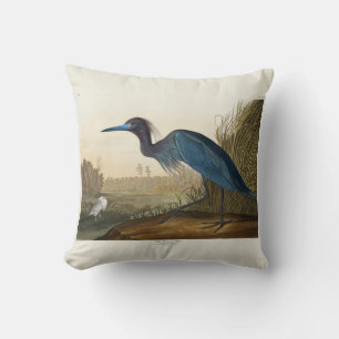 Blue Crane oder Heron, 1836, The Birds of America Kissen