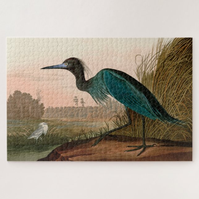 Blue Crane oder Heron Birds of America Audubon Pri (Horizontal)