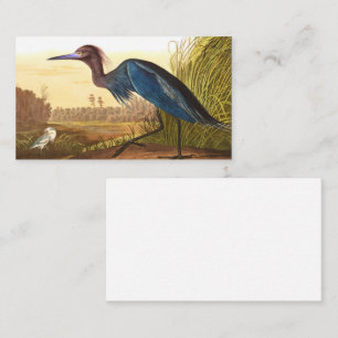 Blue Crane oder Heron von John James Audubon Visitenkarte