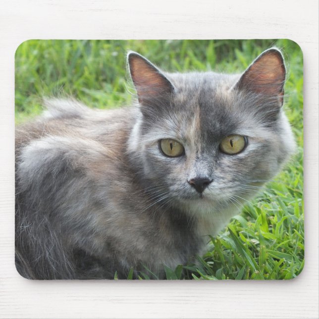 Blue Cream - Tortie Kitty Mouse Pad Mousepad (Vorne)
