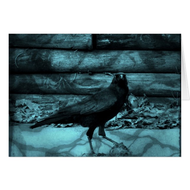 Blue Crow Shadows (Vorderseite (Horizontal))