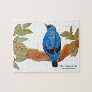 Blue Cuckoshrike on Branch Watercolor Bird