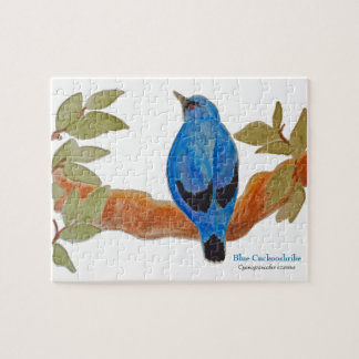 Blue Cuckoshrike on Branch Watercolor Bird