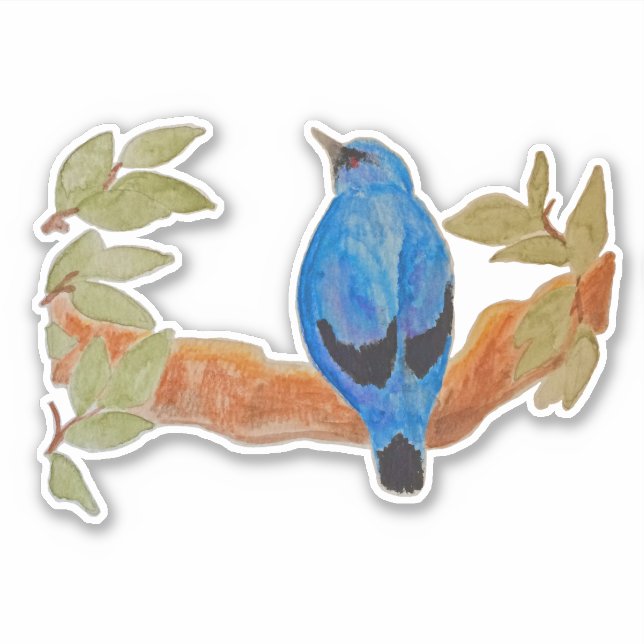 Blue Cuckoshrike Watercolor Bird Aufkleber (Vorderseite)