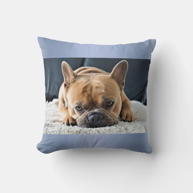 Blue Cute Français Bulldog Cushion coussin (Recto)