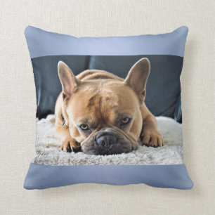 Blue Cute Français Bulldog Cushion coussin