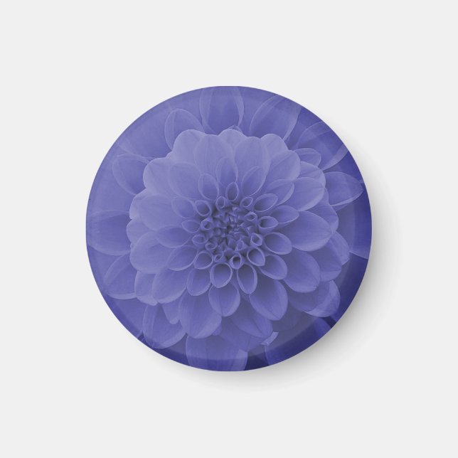 Blue Dahlia Magnet (Vorne)