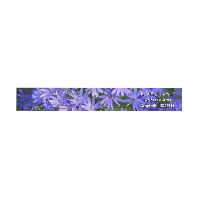 Blue Daisy ähnliche Blume Naturfotografie (Person)