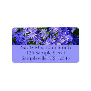Blue Daisy ähnliche Blume Naturfotografie Adressaufkleber