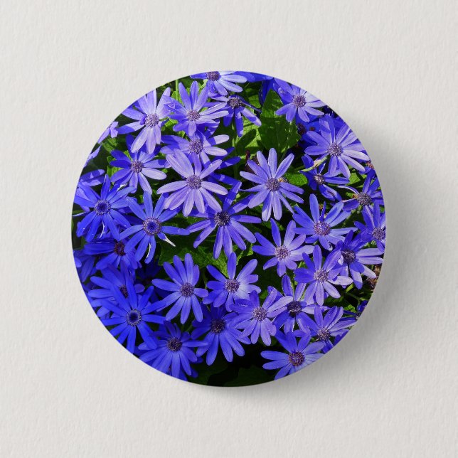 Blue Daisy ähnliche Blume Naturfotografie Button (Vorderseite)