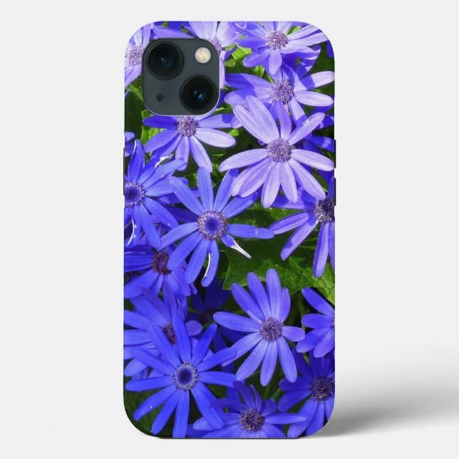 Blue Daisy ähnliche Blume Naturfotografie Case-Mate iPhone Hülle (Rückseite)