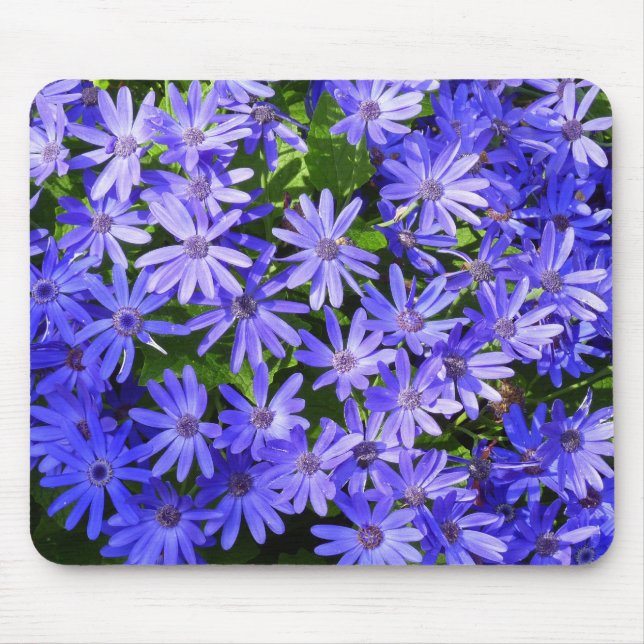 Blue Daisy ähnliche Blume Naturfotografie Mousepad (Vorne)