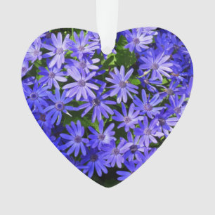 Blue Daisy ähnliche Blume Naturfotografie Ornament