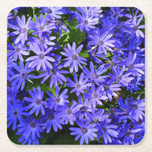 Blue Daisy ähnliche Blume Naturfotografie Rechteckiger Pappuntersetzer