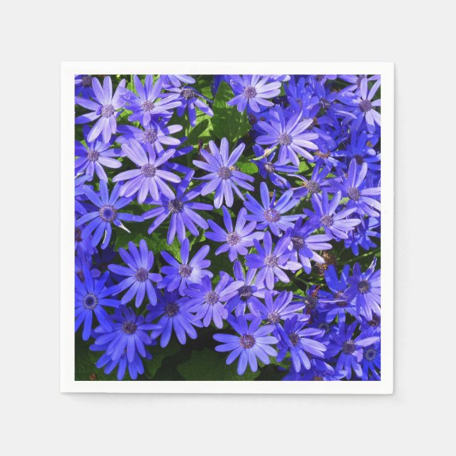 Blue Daisy ähnliche Blume Naturfotografie Serviette (Vorderseite)
