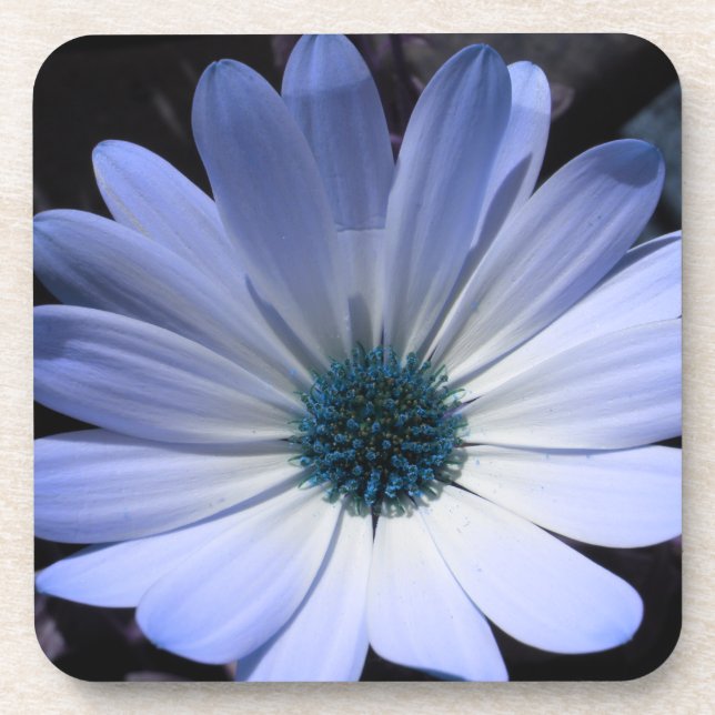 Blue Daisy Blume Cork Untersetzer (Vorderseite)