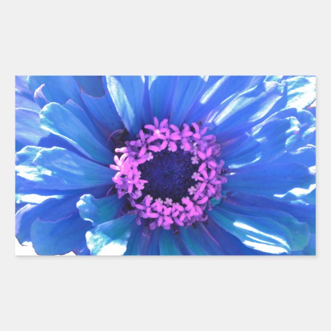 Blue Daisy Rechteckiger Aufkleber (Vorderseite)