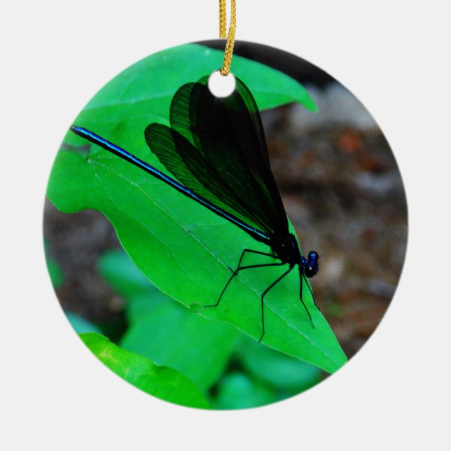 Blue Damselfly on a green leaf. Keramikornament (Vorne)