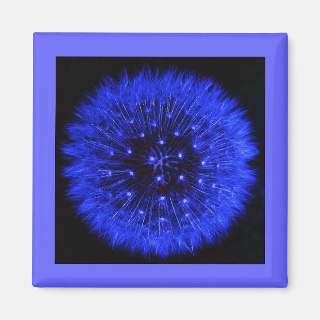 Blue Dandelion Puff Design Magnet (Vorne)
