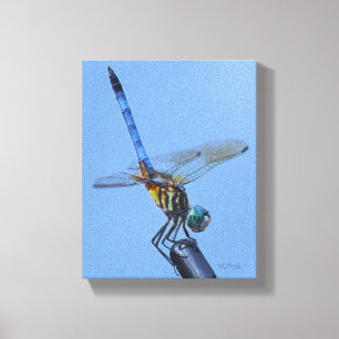 Blue Dasher Dragonfly in "Obelisk Posture" Leinwanddruck