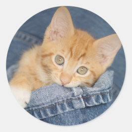 Blue Denim Orange Kitty Sticker