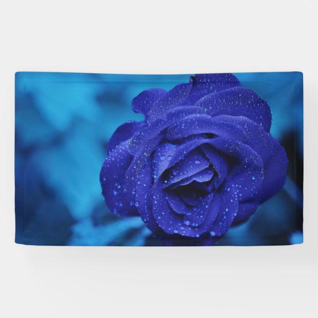 Blue Dewdrop-Rose Banner (Horizontal)