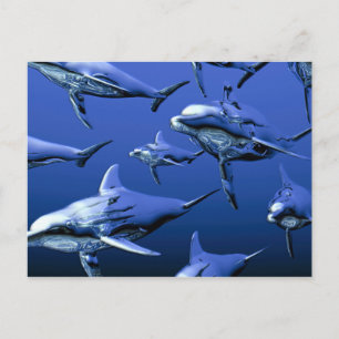 Blue Dolphin Postkarte