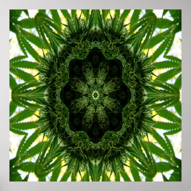 Blue Dream Mandala... Poster (Vorne)