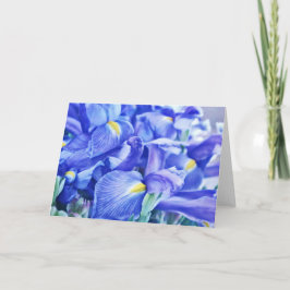 Blue Dutch Iris Blume Abstrakt Note Card Karte