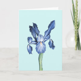 Blue Dutch Iris - Dankeskarte