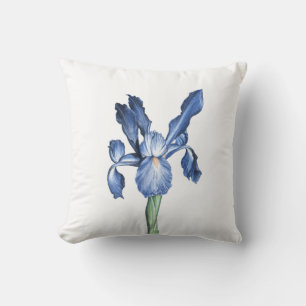 Blue Dutch Iris - Kissen