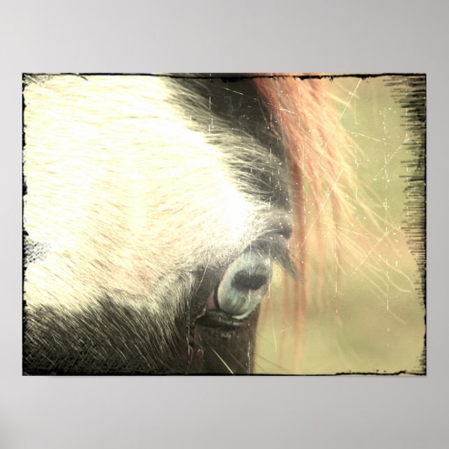 Blue Eye Grunge Poster (Vorne)