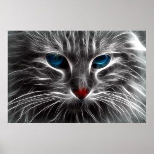 Blue Eyed Chat Animal Photo Nature Poster