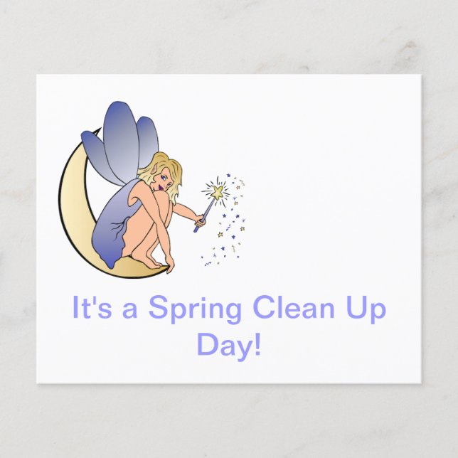 Blue Fairy Flyer (Vorne)