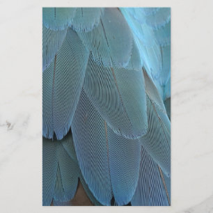 Blue Feather Briefpapier