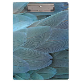 Blue Feather Klemmbrett