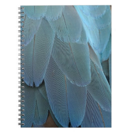 Blue Feather Notizblock