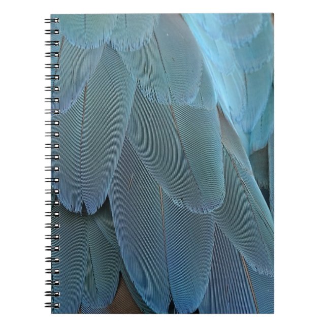 Blue Feather Notizblock (Vorderseite)