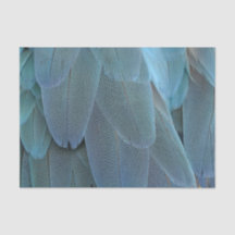 Blue Feather