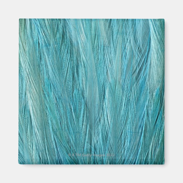 Blue Feathers Magnet (Vorne)
