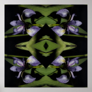 Blue Flag Iris Blume Abstrakt Poster