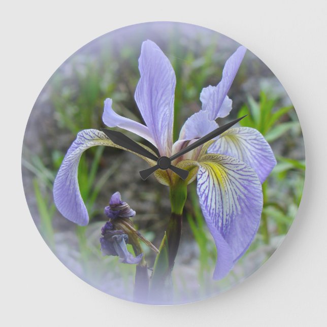 Blue Flag - Wild Iris Große Wanduhr (Vorderseite)