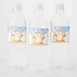 Blue Floral Baby and Mommy Owl Baby Shower Gefalle