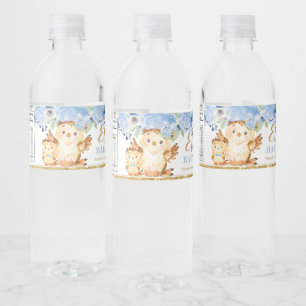 Blue Floral Baby and Mommy Owl Baby Shower Gefalle