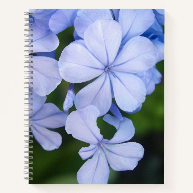 Blue Floral Bokeh Notizbuch (Vorderseite)