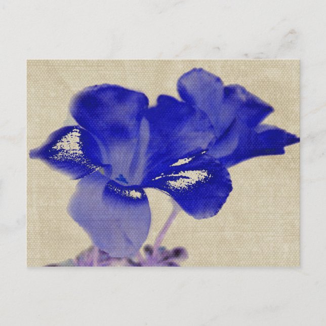 Blue Floral Postcard Postkarte (Vorderseite)