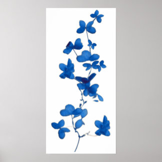 Blue Flower Print Poster
