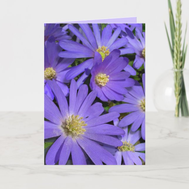 Blue Flowers Card Daisy Grußkarte Leere Karte (Vorderseite)