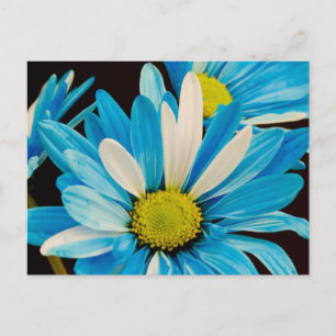 Blue Flowers Postcard Postkarte